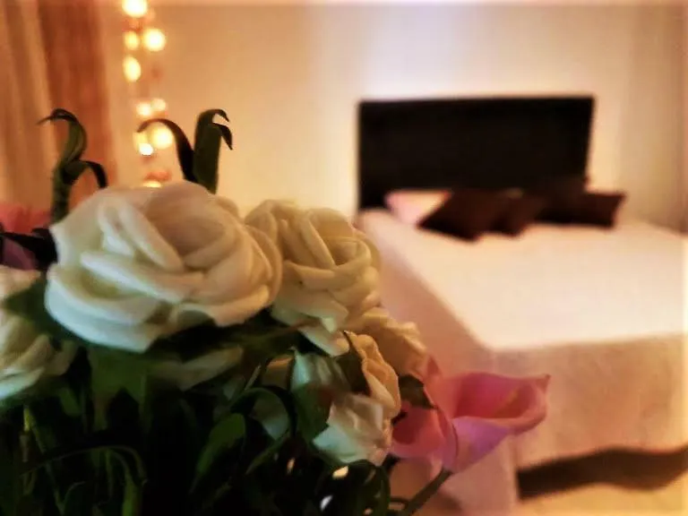 Leeds Cafe Store Hotel Florianopolis